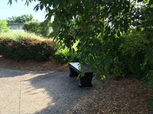 Park Bench in Cemetery